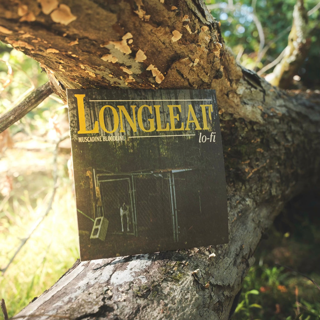 Longleaf Lo-Fi Vinyl